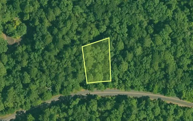 Aerial view of GARLAND County parcel 65132 — Arkansas post-auction with approximate parcel outline