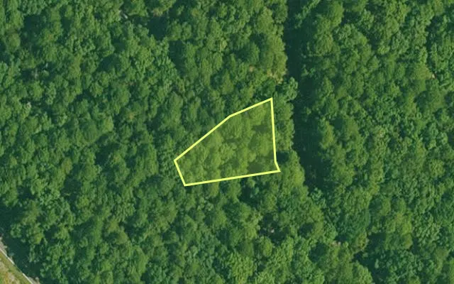 Aerial view of GARLAND County parcel 59814 — Arkansas post-auction with approximate parcel outline
