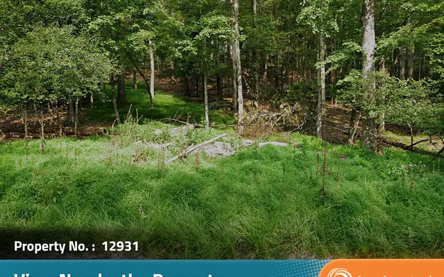 LandCentral listing preview for 1.15 acres in Pike, PA — 12931