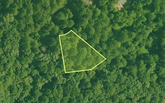 Aerial view of GARLAND County parcel 59177 — Arkansas post-auction with approximate parcel outline