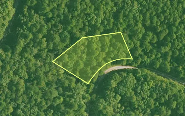 Aerial view of SALINE County parcel 748-00031-000 — Arkansas post-auction with approximate parcel outline