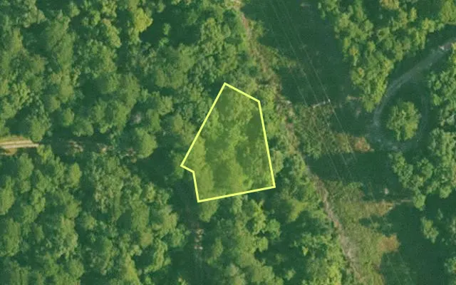 Aerial view of GARLAND County parcel 58487 — Arkansas post-auction with approximate parcel outline