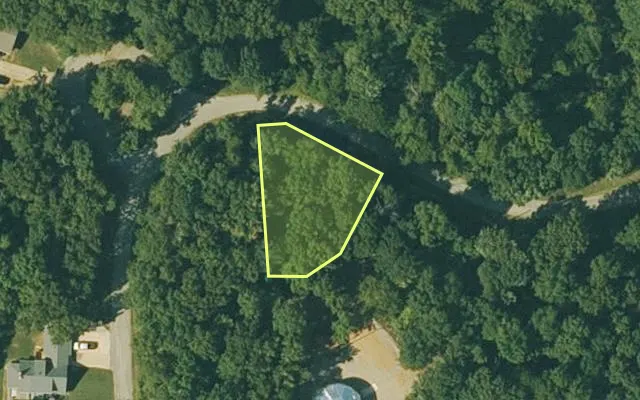 Aerial view of FULTON County parcel 420-22029-000 — Arkansas post-auction with approximate parcel outline