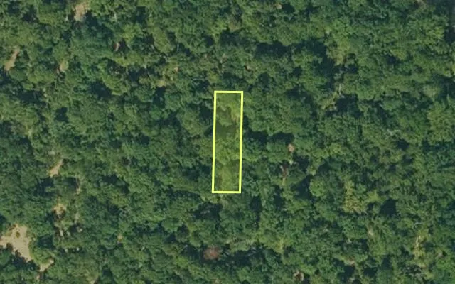 Aerial view of IZARD County parcel 800-06167-000 — Arkansas post-auction with approximate parcel outline