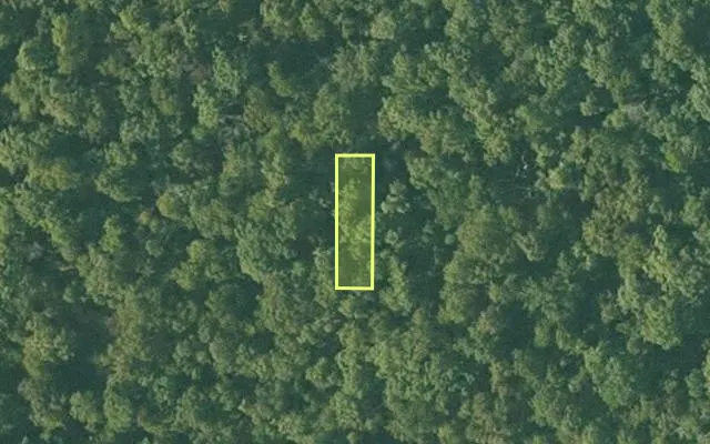 Aerial view of SHARP County parcel 368-00081-000 — Arkansas post-auction with approximate parcel outline