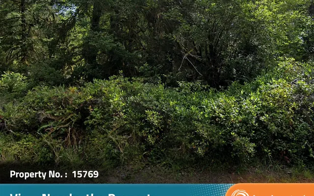 LandCentral listing preview for 0.17 acres in Pacific, WA — 15769