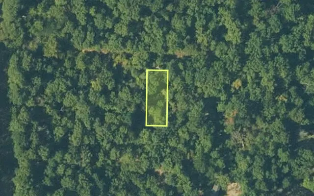 Aerial view of FULTON County parcel 686-25301-000 — Arkansas post-auction with approximate parcel outline