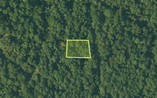 Aerial view of FULTON County parcel 105-10209-000 — Arkansas post-auction with approximate parcel outline