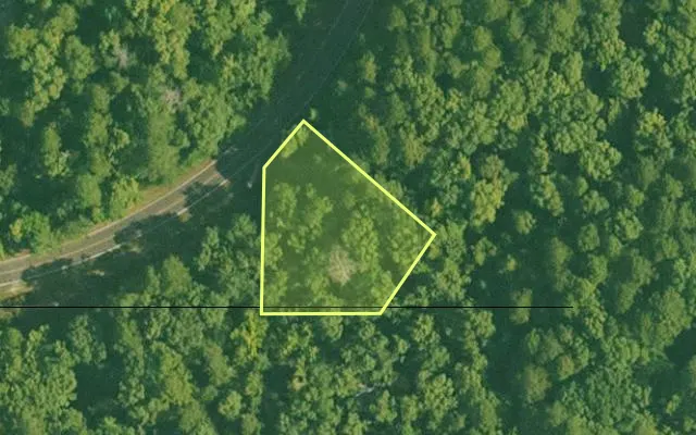 Aerial view of GARLAND County parcel 58098 — Arkansas post-auction with approximate parcel outline