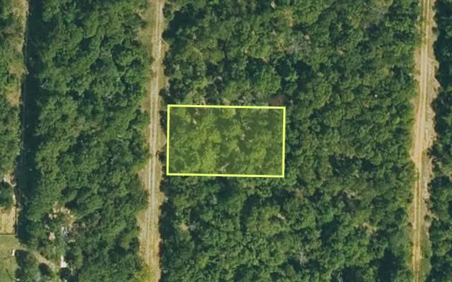 Aerial view of IZARD County parcel 800-00917-000 — Arkansas post-auction with approximate parcel outline