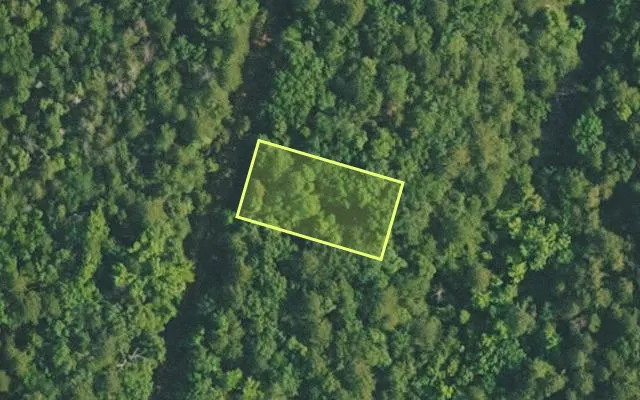 Aerial view of VAN BUREN County parcel 4200-02033-0000 — Arkansas post-auction with approximate parcel outline