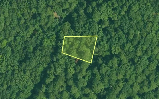 Aerial view of GARLAND County parcel 61301 — Arkansas post-auction with approximate parcel outline