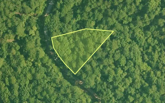 Aerial view of SALINE County parcel 572-00048-000 — Arkansas post-auction with approximate parcel outline