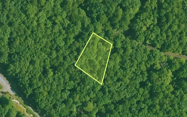 Aerial view of GARLAND County parcel 59810 — Arkansas post-auction with approximate parcel outline
