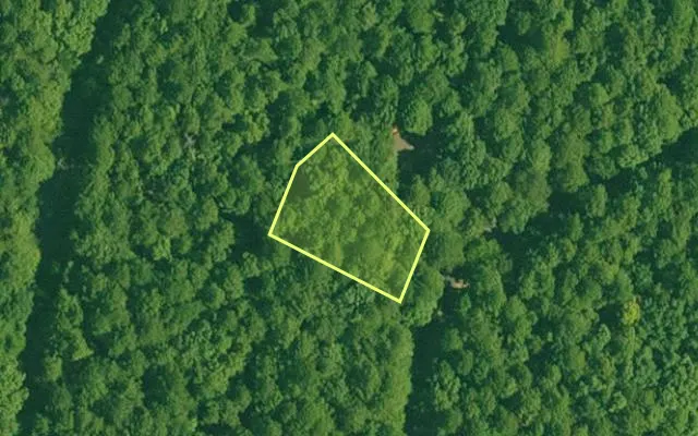 Aerial view of GARLAND County parcel 67229 — Arkansas post-auction with approximate parcel outline