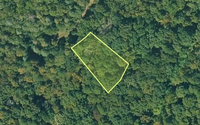 Aerial view of VAN BUREN County parcel 4300-04019-0000 — Arkansas post-auction with approximate parcel outline