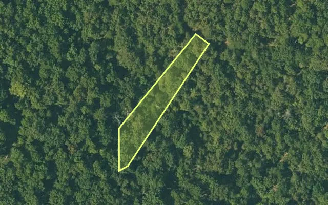 Aerial view of FULTON County parcel 105-10103-000 — Arkansas post-auction with approximate parcel outline