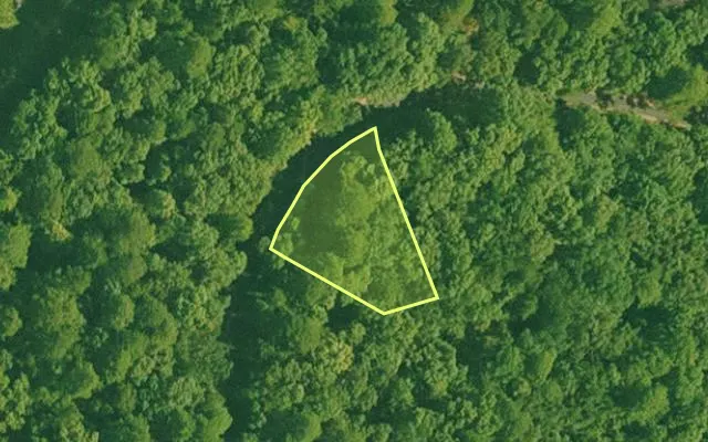 Aerial view of SALINE County parcel 640-00061-000 — Arkansas post-auction with approximate parcel outline