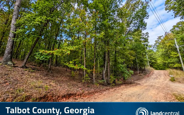 LandCentral listing preview for 0.4 acres in Talbot, GA — 15584