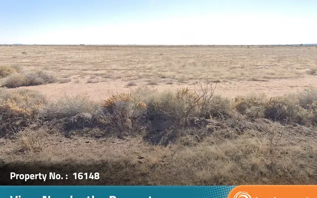 LandCentral listing preview for 0.69 acres in Luna, NM — 16148