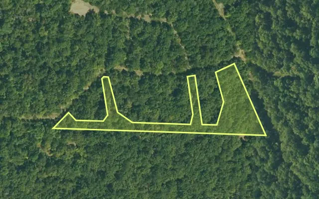 Aerial view of FULTON County parcel 390-20950-000 — Arkansas post-auction with approximate parcel outline