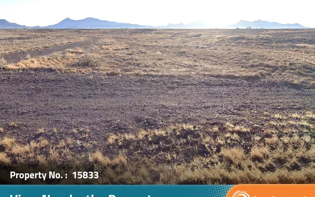 LandCentral listing preview for 0.32 acres in Cochise, AZ — 15833
