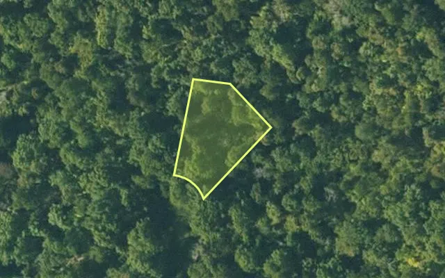 Aerial view of FULTON County parcel 125-11122-000 — Arkansas post-auction with approximate parcel outline