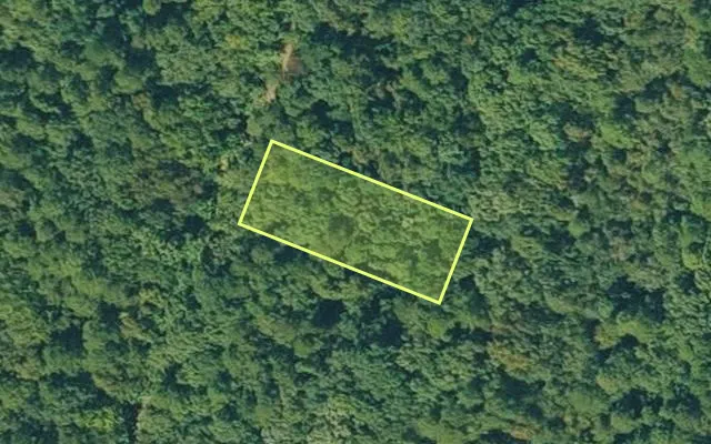 Aerial view of VAN BUREN County parcel 4300-03054-0000 — Arkansas post-auction with approximate parcel outline