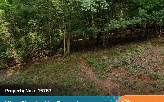 LandCentral listing preview for 0.45 acres in Gilmer, GA — 15767