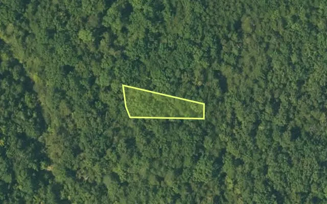 Aerial view of FULTON County parcel 110-10444-000 — Arkansas post-auction with approximate parcel outline
