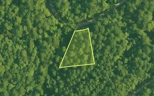 Aerial view of SALINE County parcel 420-00007-000 — Arkansas post-auction with approximate parcel outline