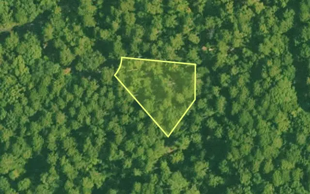 Aerial view of SALINE County parcel 456-00113-000 — Arkansas post-auction with approximate parcel outline