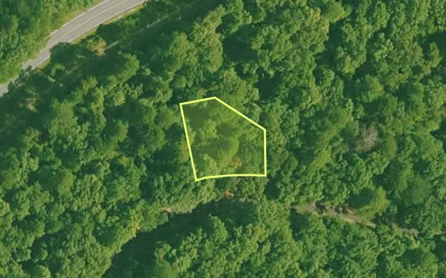 Aerial view of SALINE County parcel 640-00042-000 — Arkansas post-auction with approximate parcel outline