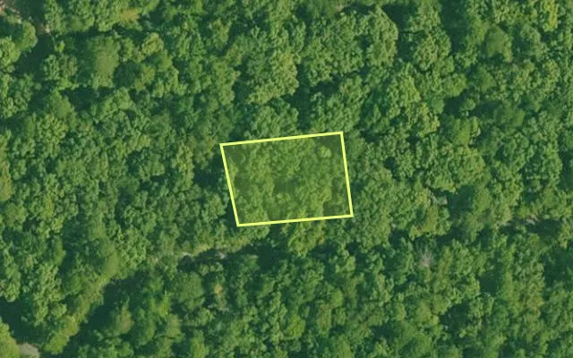Aerial view of GARLAND County parcel 72689 — Arkansas post-auction with approximate parcel outline