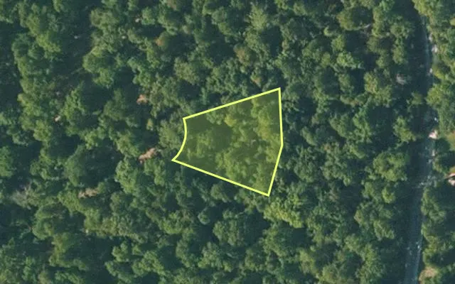 Aerial view of FULTON County parcel 400-21254-000 — Arkansas post-auction with approximate parcel outline