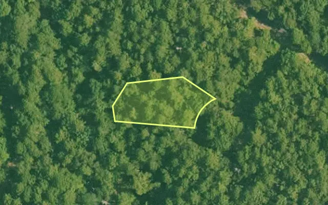 Aerial view of SALINE County parcel 496-00136-000 — Arkansas post-auction with approximate parcel outline