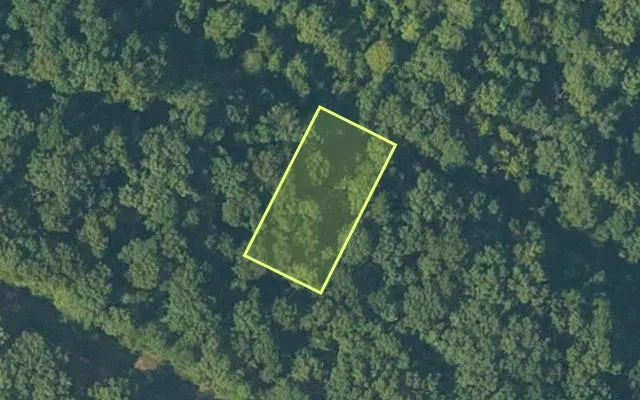 Aerial view of FULTON County parcel 690-26032-000 — Arkansas post-auction with approximate parcel outline