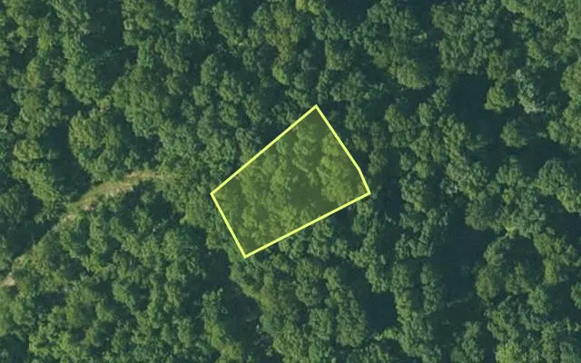 Aerial view of FULTON County parcel 180-13117-000 — Arkansas post-auction with approximate parcel outline