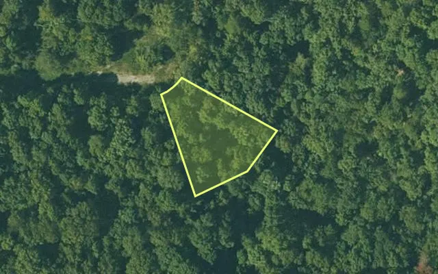 Aerial view of FULTON County parcel 230-14680-000 — Arkansas post-auction with approximate parcel outline