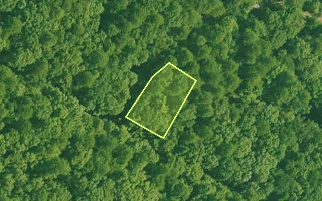 Aerial view of SALINE County parcel 564-00022-000 — Arkansas post-auction with approximate parcel outline