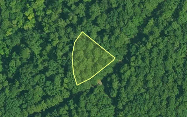 Aerial view of GARLAND County parcel 64513 — Arkansas post-auction with approximate parcel outline