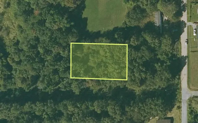 Aerial view of CHICOT County parcel 050-04005-000 — Arkansas post-auction with approximate parcel outline