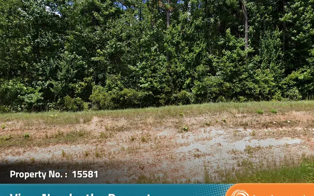LandCentral listing preview for 0.39 acres in Talbot, GA — 15581