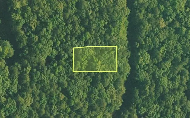 Aerial view of VAN BUREN County parcel 4500-01478-0000 — Arkansas post-auction with approximate parcel outline