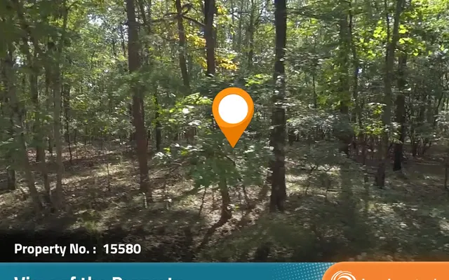 LandCentral listing preview for 0.71 acres in Talbot, GA — 15580