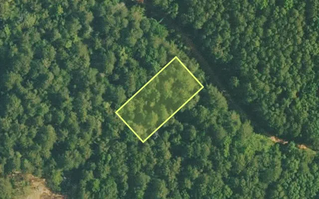 Aerial view of VAN BUREN County parcel 4200-01115-0000 — Arkansas post-auction with approximate parcel outline
