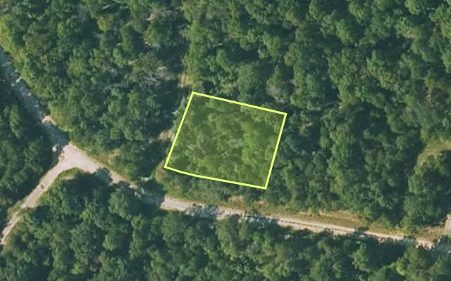 Aerial view of FULTON County parcel 365-20231-000 — Arkansas post-auction with approximate parcel outline