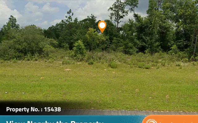 LandCentral listing preview for 1.24 acres in Jackson, FL — 15438