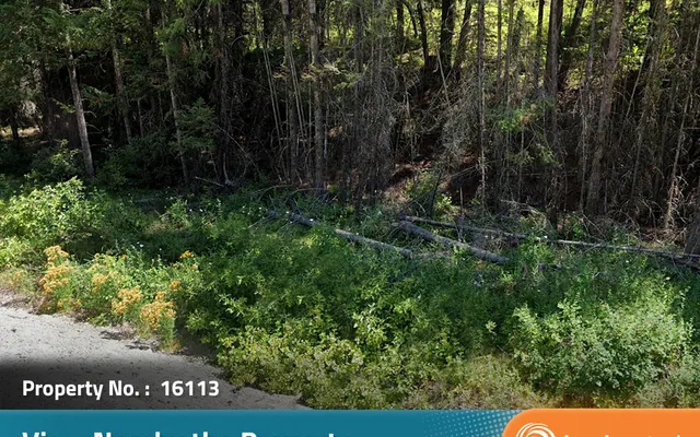 LandCentral listing preview for 10 acres in Okanogan, WA — 16113