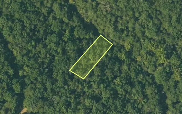 Aerial view of FULTON County parcel 110-10555-000 — Arkansas post-auction with approximate parcel outline